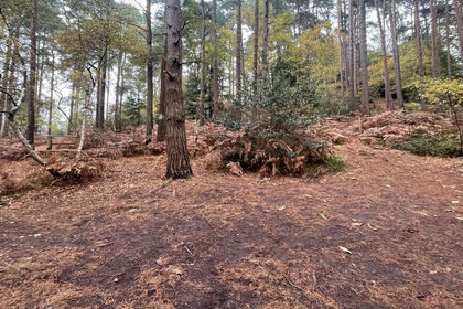 2.7 acres of For sale in Farnham