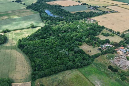 67.1 acres of Woodland for sale in Mautby