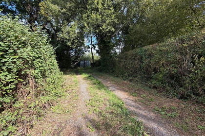 18.5 acres of Agricultural Land for sale in Holt
