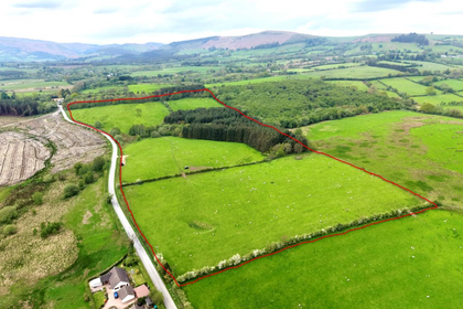 31.6 acres of Farm for sale in Nantmel