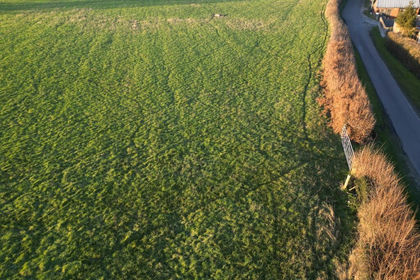 2.9 acres of Agricultural Land for sale in Durley