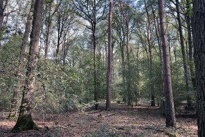 4.3 acres of For sale in Nottinghamshire