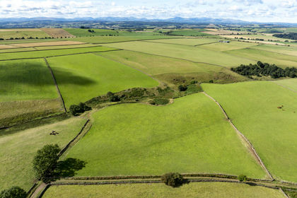 51.5 acres of Agricultural Land for sale in Kirkoswald