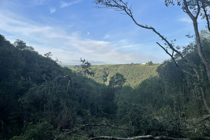 5.8 acres of Woodland for sale in