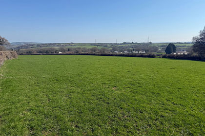 Pasture for sale in South Brent