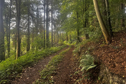 3.1 acres of Recreational Land for sale in Berriew