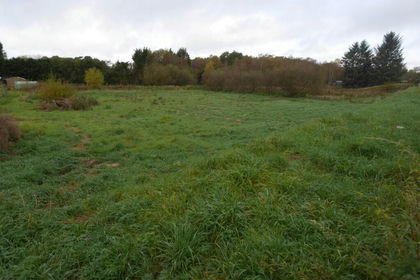 2.1 acres of Land for sale in Dumfriesshire, Clydesdale and Tweeddale