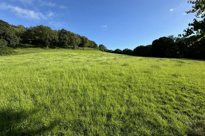 13 acres of Agricultural Land for sale in Briton Ferry