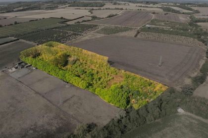 5.4 acres of Woodland for sale in Norton and Lenchwick