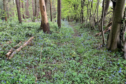 8.2 acres of Recreational Land for sale in East Hoathly with Halland