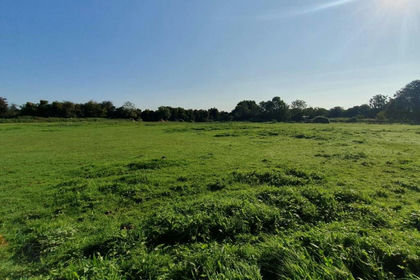 6.2 acres of Agricultural Land for sale in Soberton