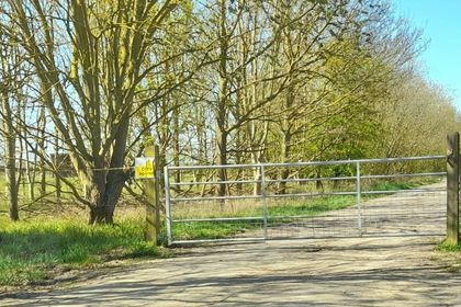 Vacant Land for sale in Manea