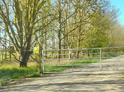 Vacant Land for sale in Manea