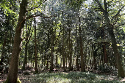 6 acres of For sale in Hampshire