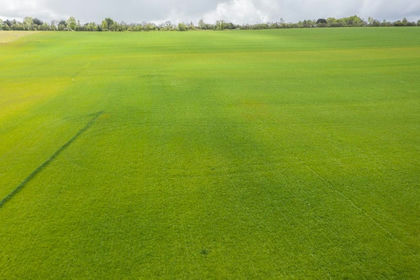 Land for sale in Puttenham