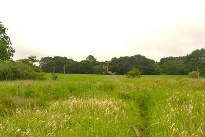 6.1 acres of Undeveloped Land for sale in Chorley