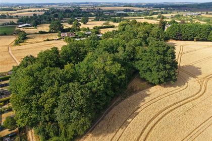 2 acres of Woodland for auction in Lugwardine