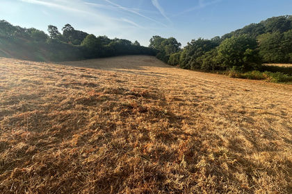 4.1 acres of Equestrian property for sale in Newton Abbot