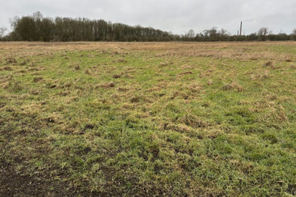 9.2 acres of Grazing Land for sale in Whittlesey