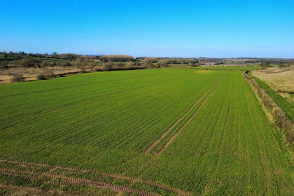 38 acres of Agricultural Land for sale in Little Leigh