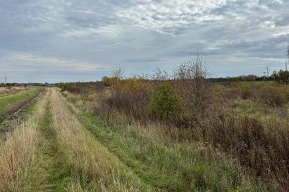 3.8 acres of Land for sale in Eye