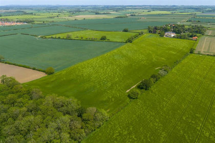 61 acres of Agricultural Land for sale in Langton by Wragby