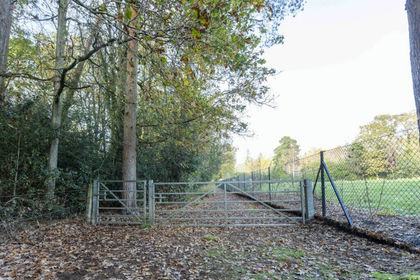 Land for sale in Surrey Heath