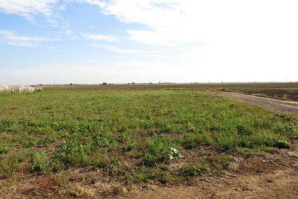 Development Land for sale in March