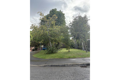 For sale in Mansfield