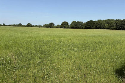 10 acres of Agricultural Land for sale in Haxby