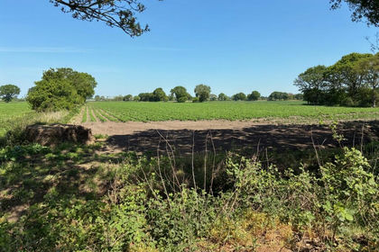 Land for sale in Epworth