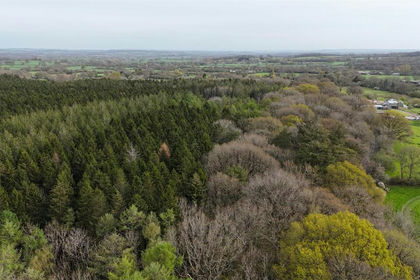 4.4 acres of Woodland for sale in Minterne Magna