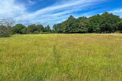 117.3 acres of Woodland for sale in Westfield