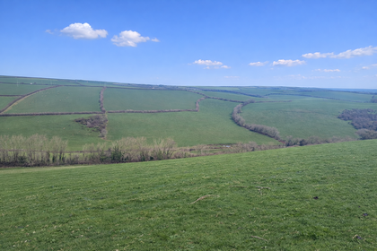 90 acres of Agricultural Land for sale in Kingsbridge