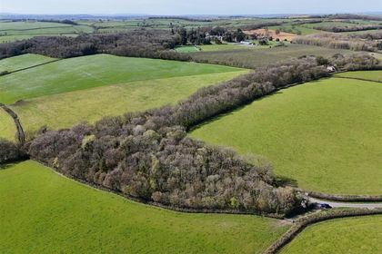 2.7 acres of Woodland for sale in Lillington