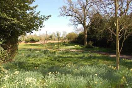 Development Land for sale in Great Barton