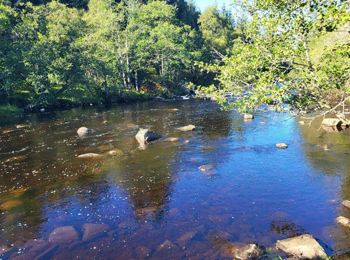 Vacant Land for sale in Caithness, Sutherland and Easter Ross