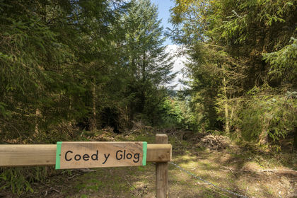4 acres of Woodland for sale in