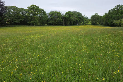 2.3 acres of Vacant Land for sale in Horton