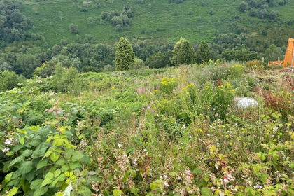 Development Land for sale in Llanhilleth