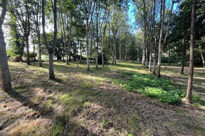 1.4 acres of Woodland for sale in Lindridge