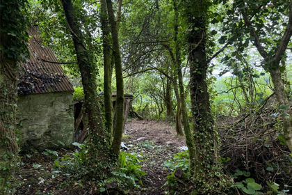 Derelict property for sale in Quethiock