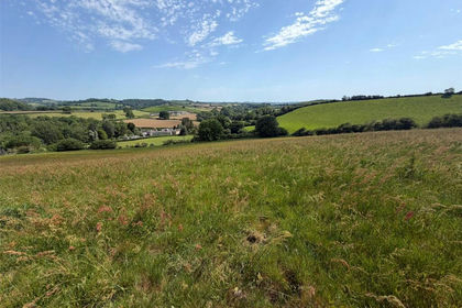 9.3 acres of Farmland for sale in Stoke Abbott