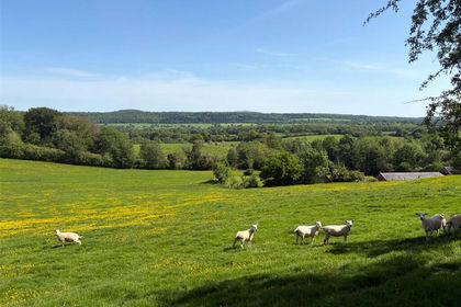 57.6 acres of Farmland for sale in Hope Bowdler