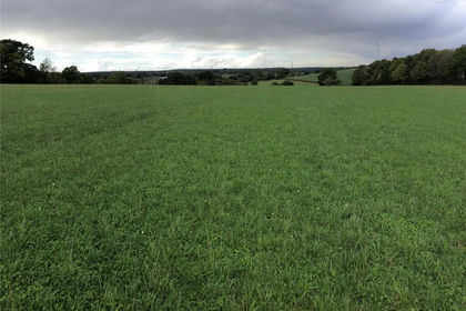 26.6 acres of Agricultural Land for sale in Wanstrow
