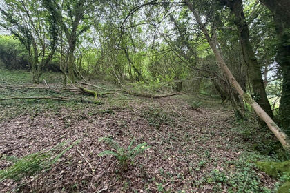 8.2 acres of Derelict property for sale in Quethiock