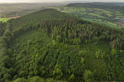 163.1 acres of Timberland for sale in Sidmouth
