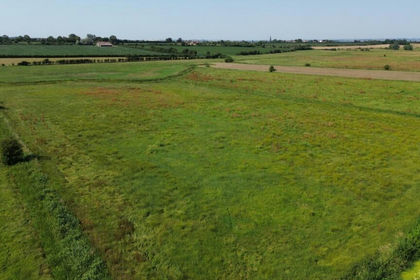 Pasture for sale in North Curry