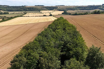 225.8 acres of Barn for sale in Alvediston