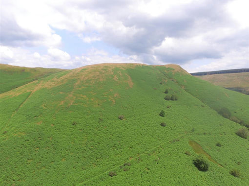227 acres of Farmland for sale in Llandovery